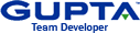 Gupta Team Developer